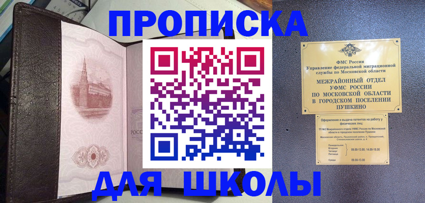 временная регистрация для школы в Щёлково