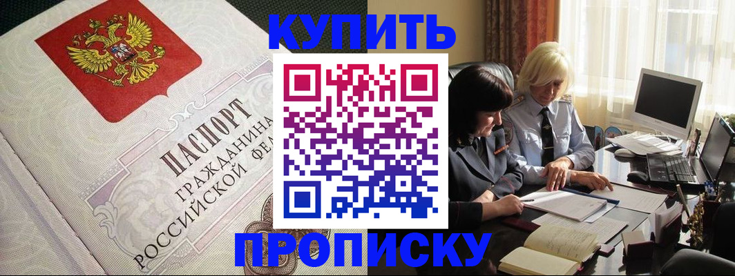 прописка законно в Щёлково